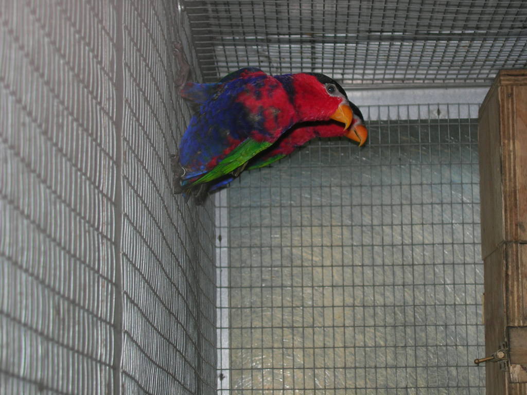 DSCN9697
